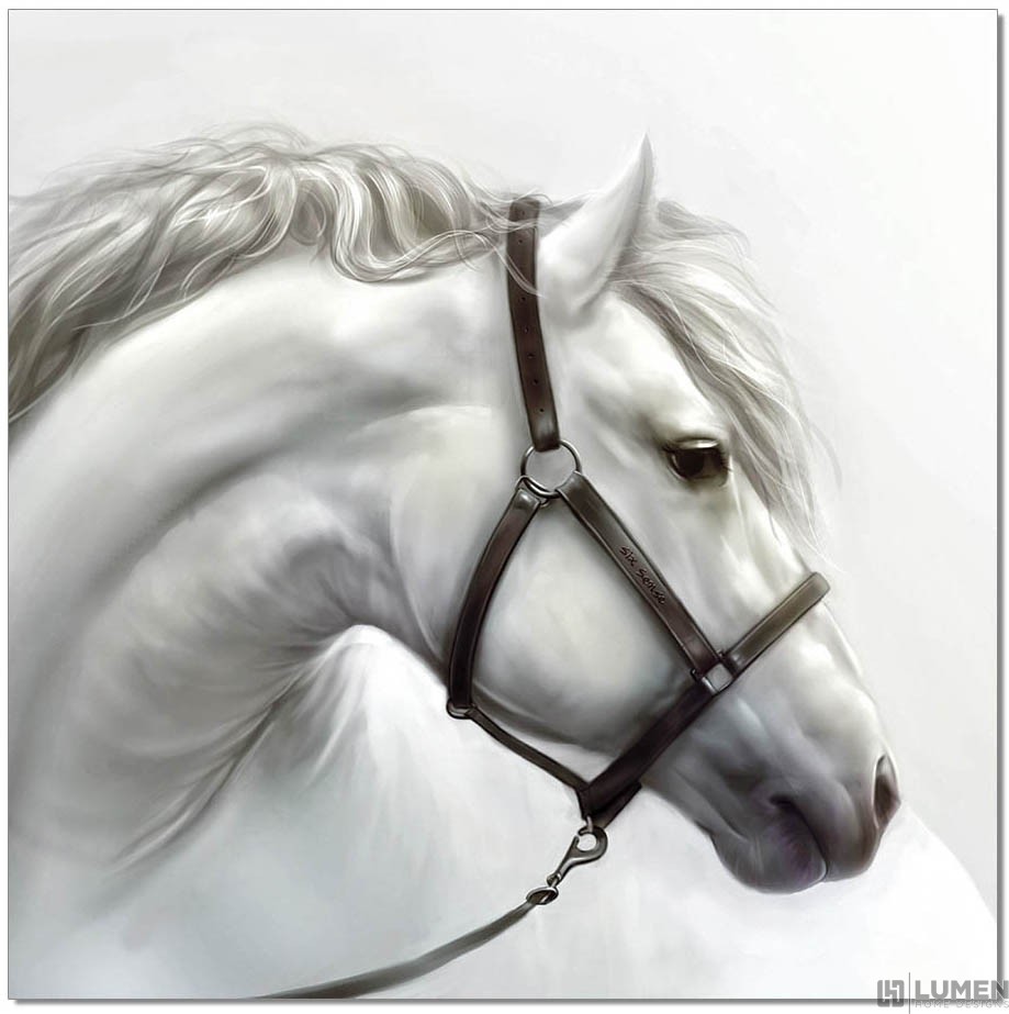 White Horse Illustration Wall Print