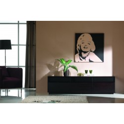 Dark Oak Closed TV Stand