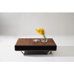 Rounded Edge Walnut Coffee Table