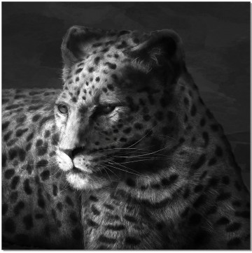 Eager Cheetah Wall Print
