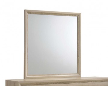 MIRROR-LHD-206354