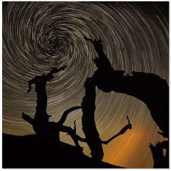 Spinning Nature Wall Print