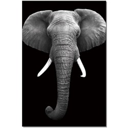 Mighty Elephant B&W Wall Print