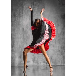 Dance the Flamenco Wall Print