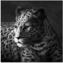 Eager Cheetah Wall Print